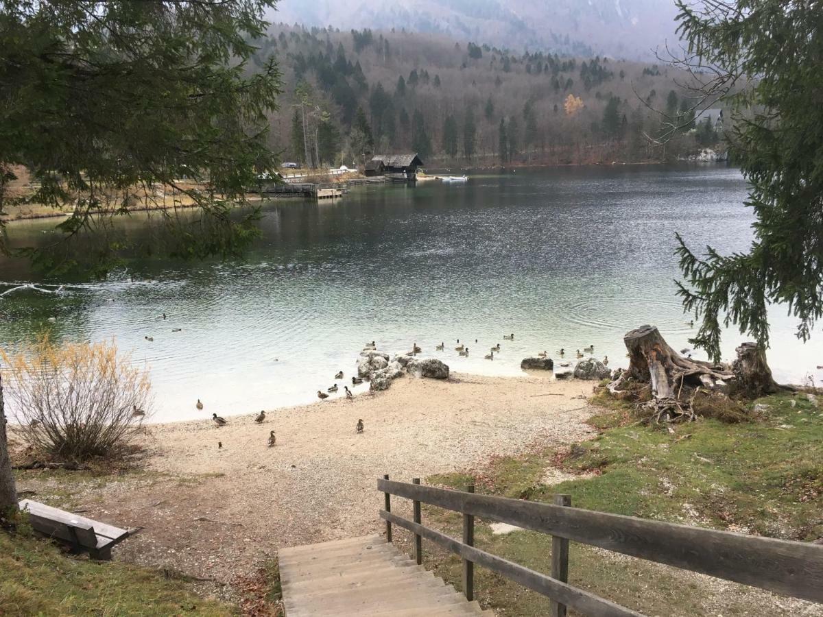 Casa Bohinj公寓 外观 照片