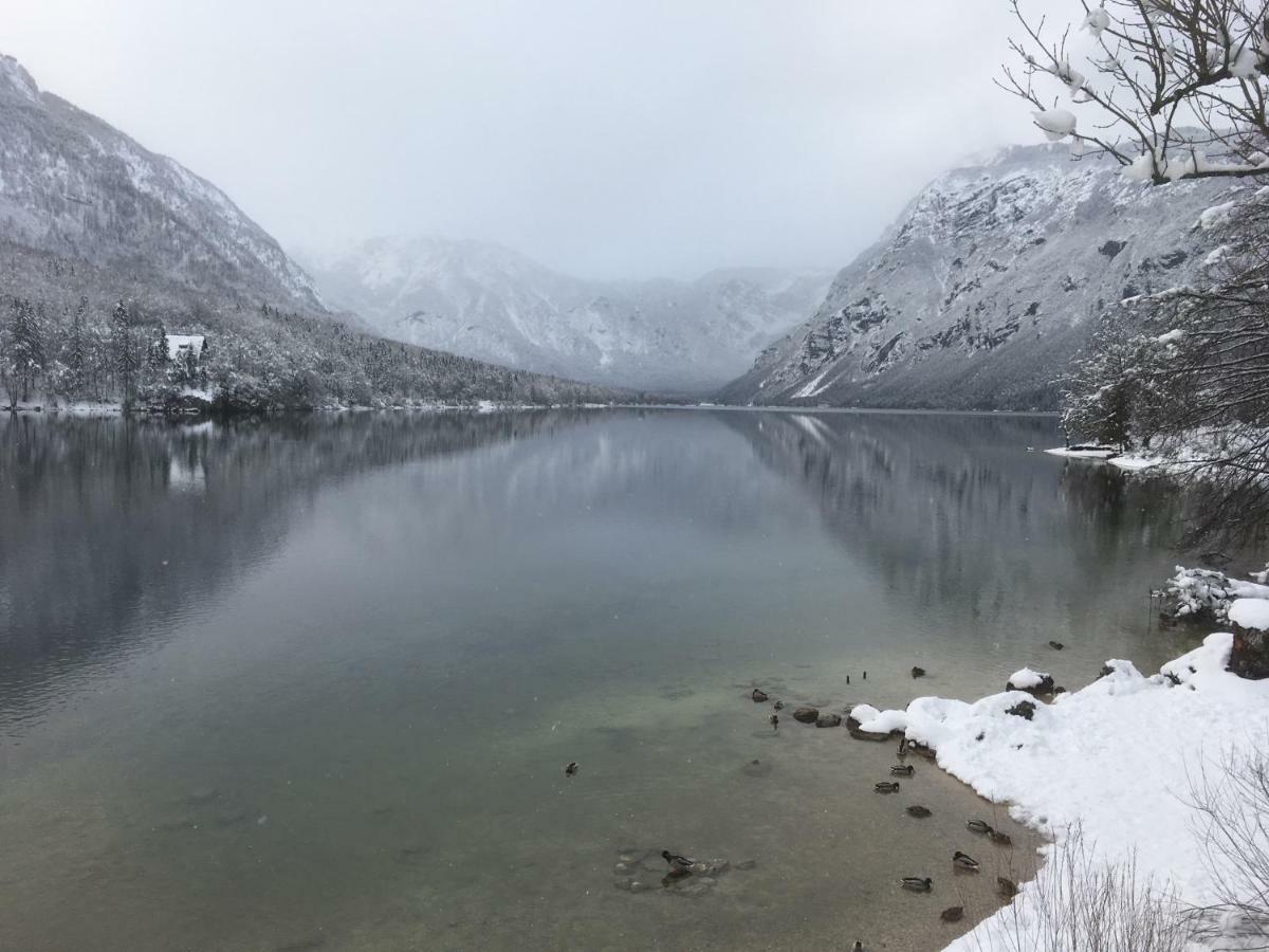 Casa Bohinj公寓 外观 照片