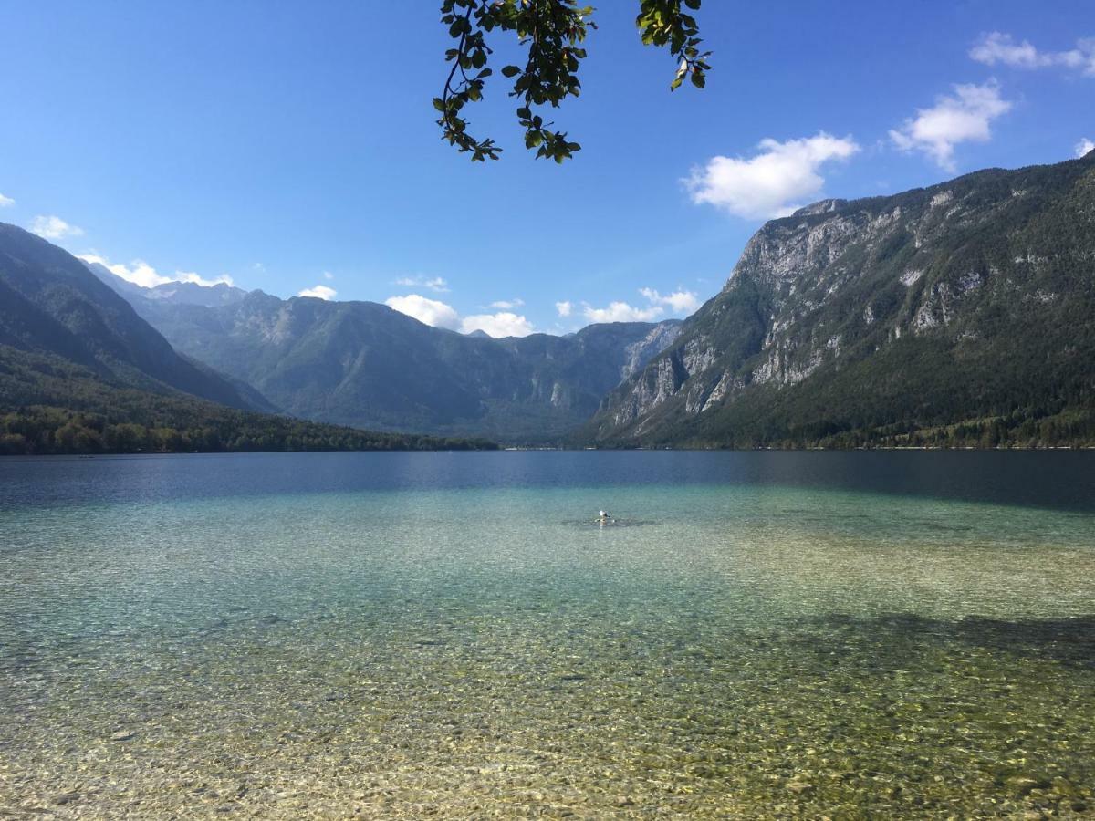 Casa Bohinj公寓 外观 照片